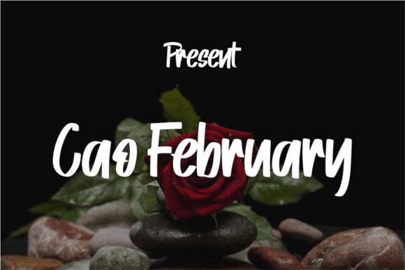 Cao February: A Modern Script for Elegant Design